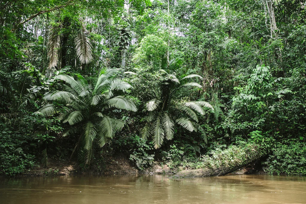 Die Schönheit der Natur täuscht auf den ersten Blick über die Zerstörung und Vergiftung hinweg.
