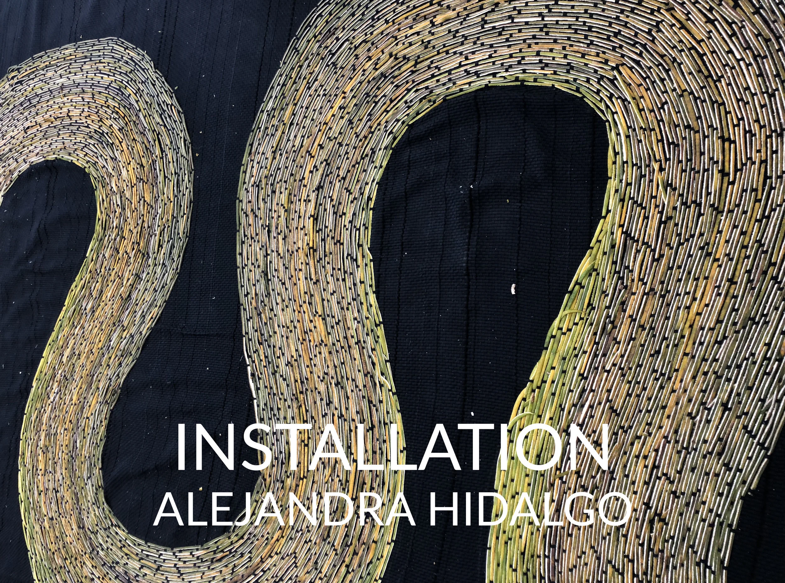 AlejandraInstallationweb.jpg