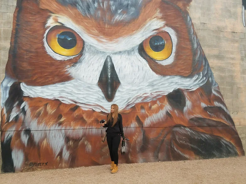 Artist: Pilot FX CrewSilos at Sawyer Yards1502 Sawyer St, Houston, TX 77007