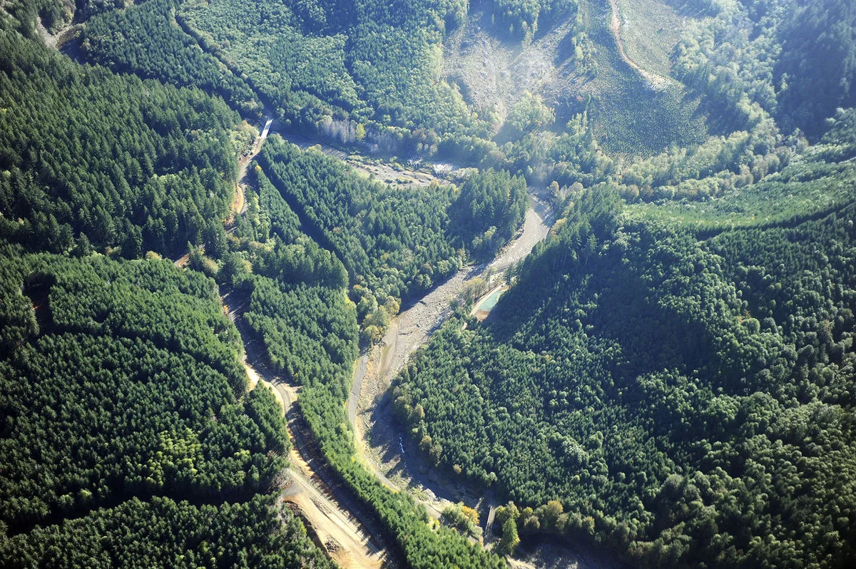 In this aerial file photo taken on Oct. 9, 2009, a planned site for a potential dam outside of Pe Ell is seen. Eric Schwartz / eschwartz@chronline.com