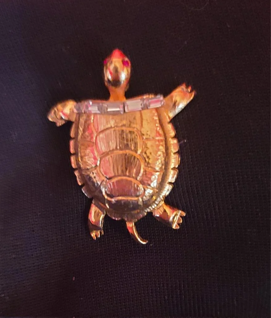 Turtle