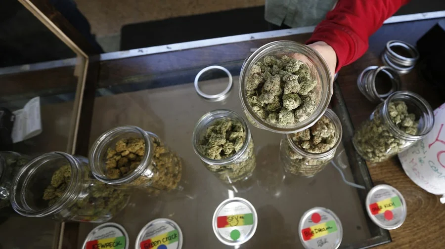 American Pot: 5 Best Strains of 2017