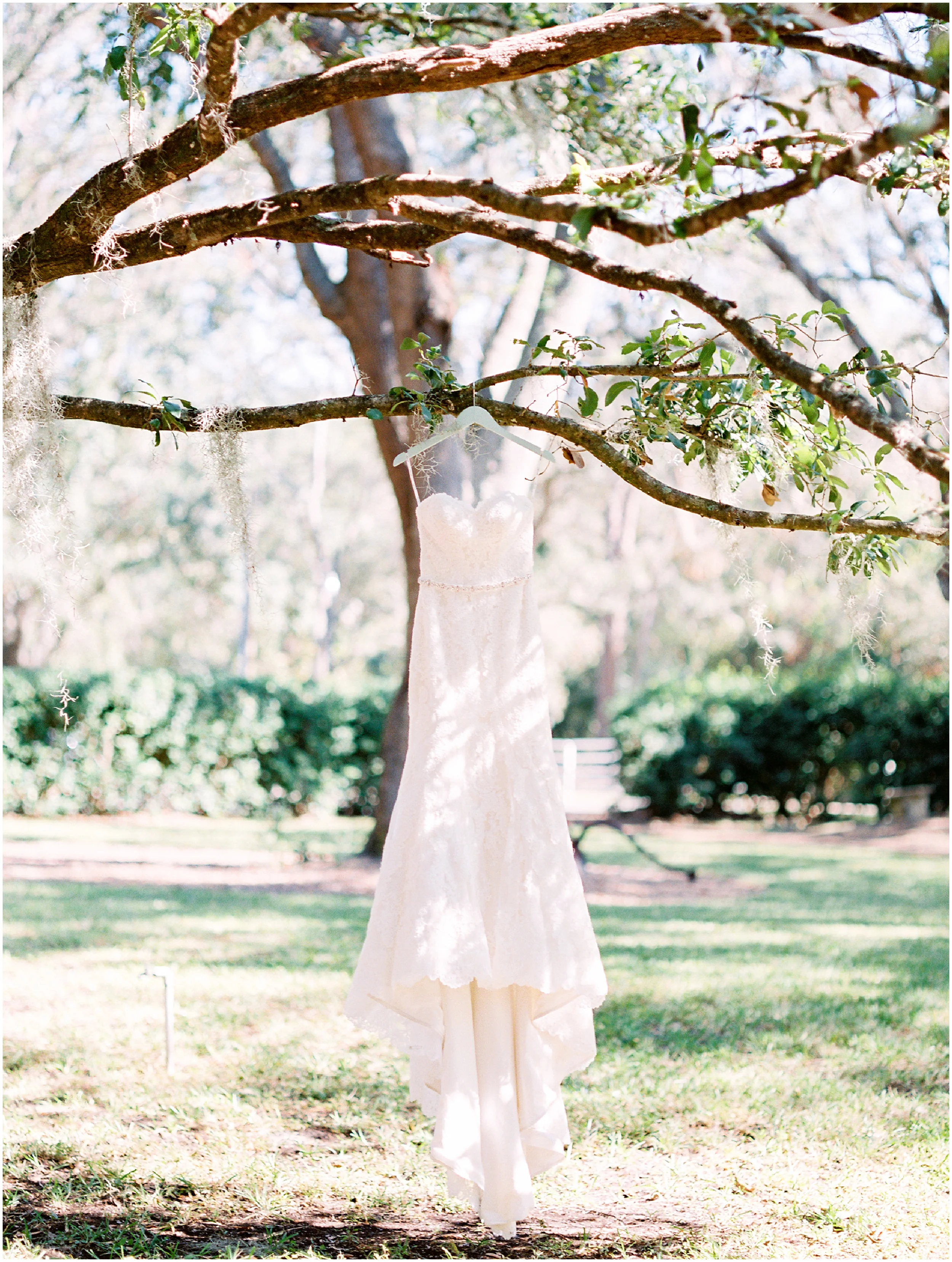 Jenny and Adam's Bowing Oaks Plantation Wedding- Lisa Silva Photography-1_0053.jpg