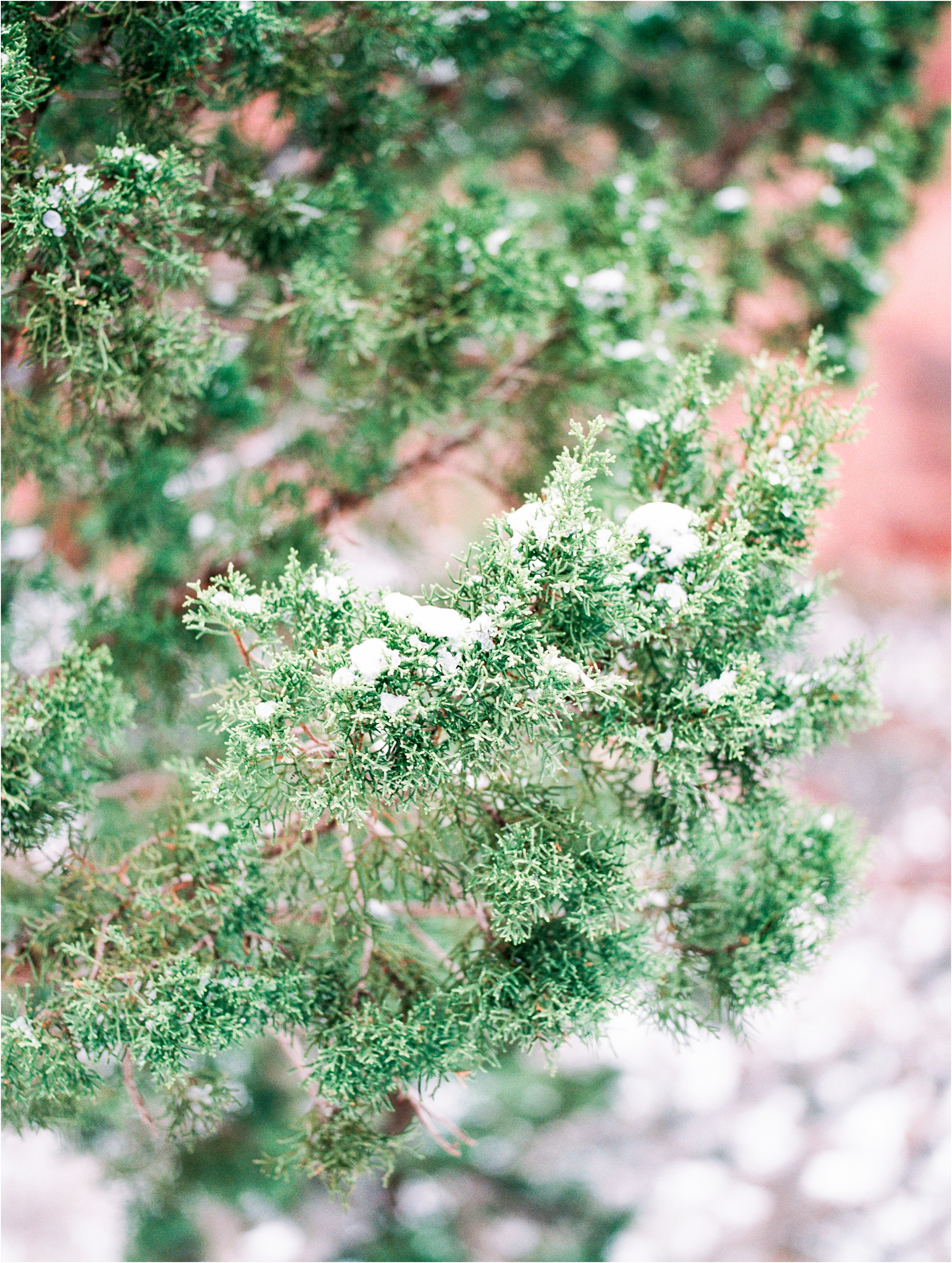 Lisa Silva Photography- Ponte Vedra Beach and Jacksonville, Florida Fine Art Film Wedding Photography- Wedding at The White Room Villa Blanca in St. Augustine, Florida_0150.jpg