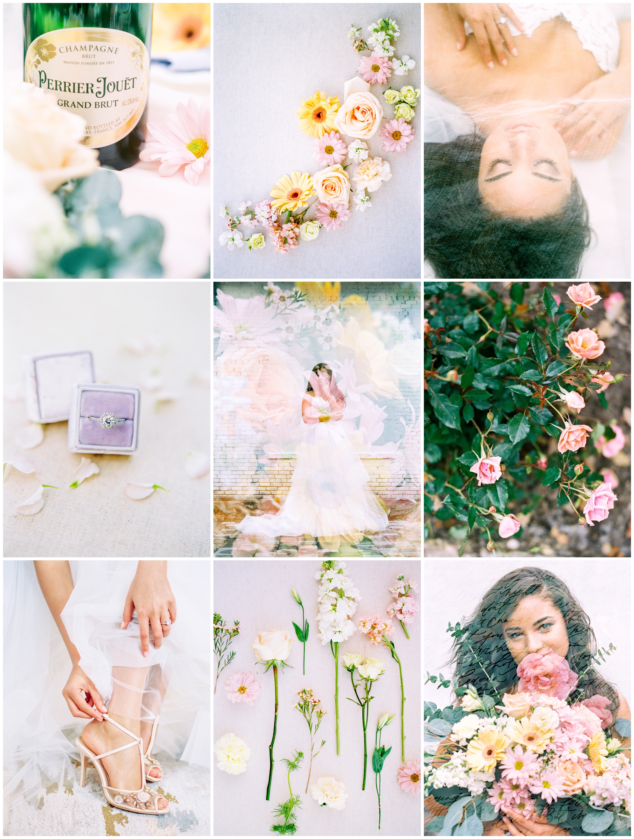 Ellie’s Garden Editorial | Jacksonville, Florida