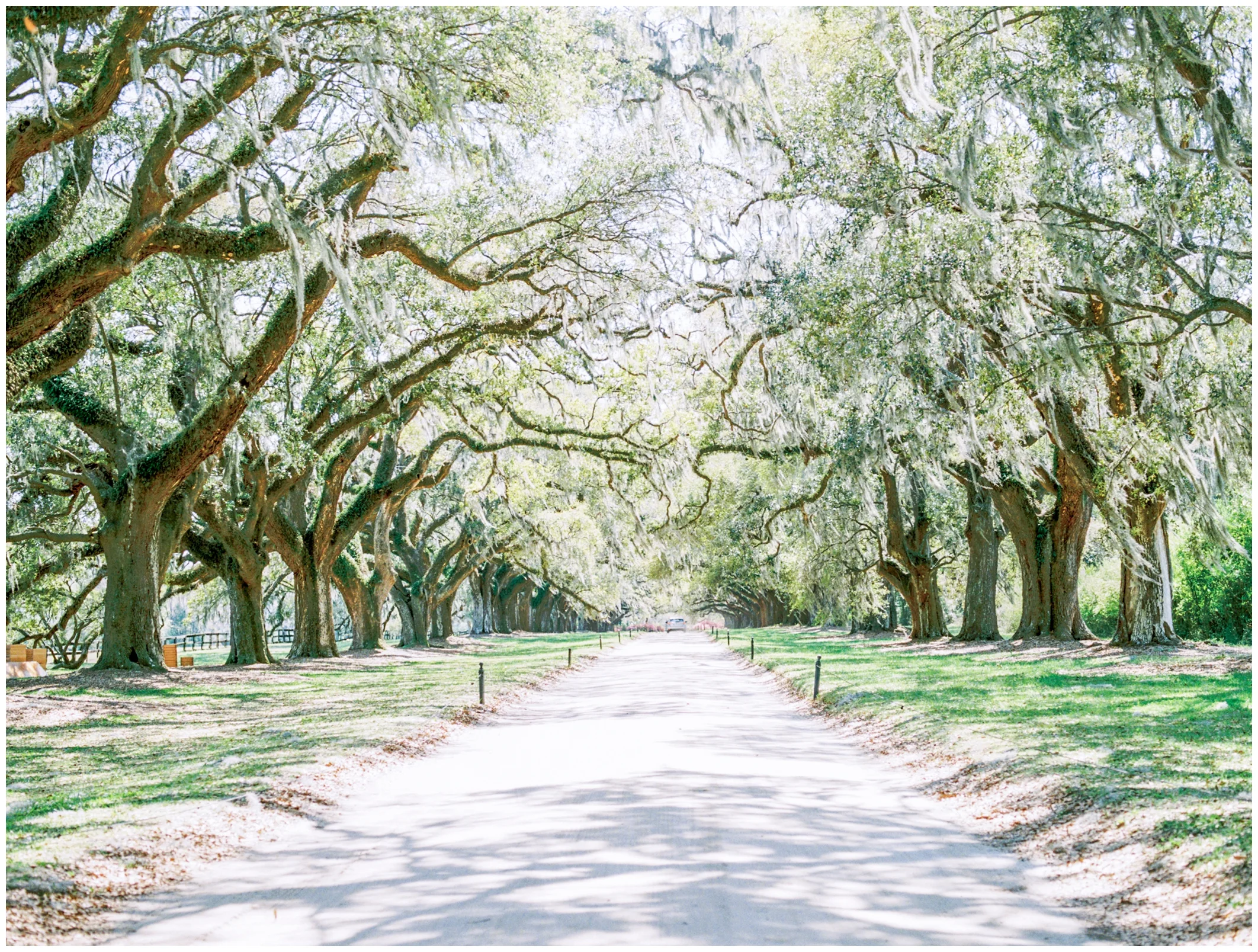 Lisa Silva Photography-Best of 2018_0042.jpg