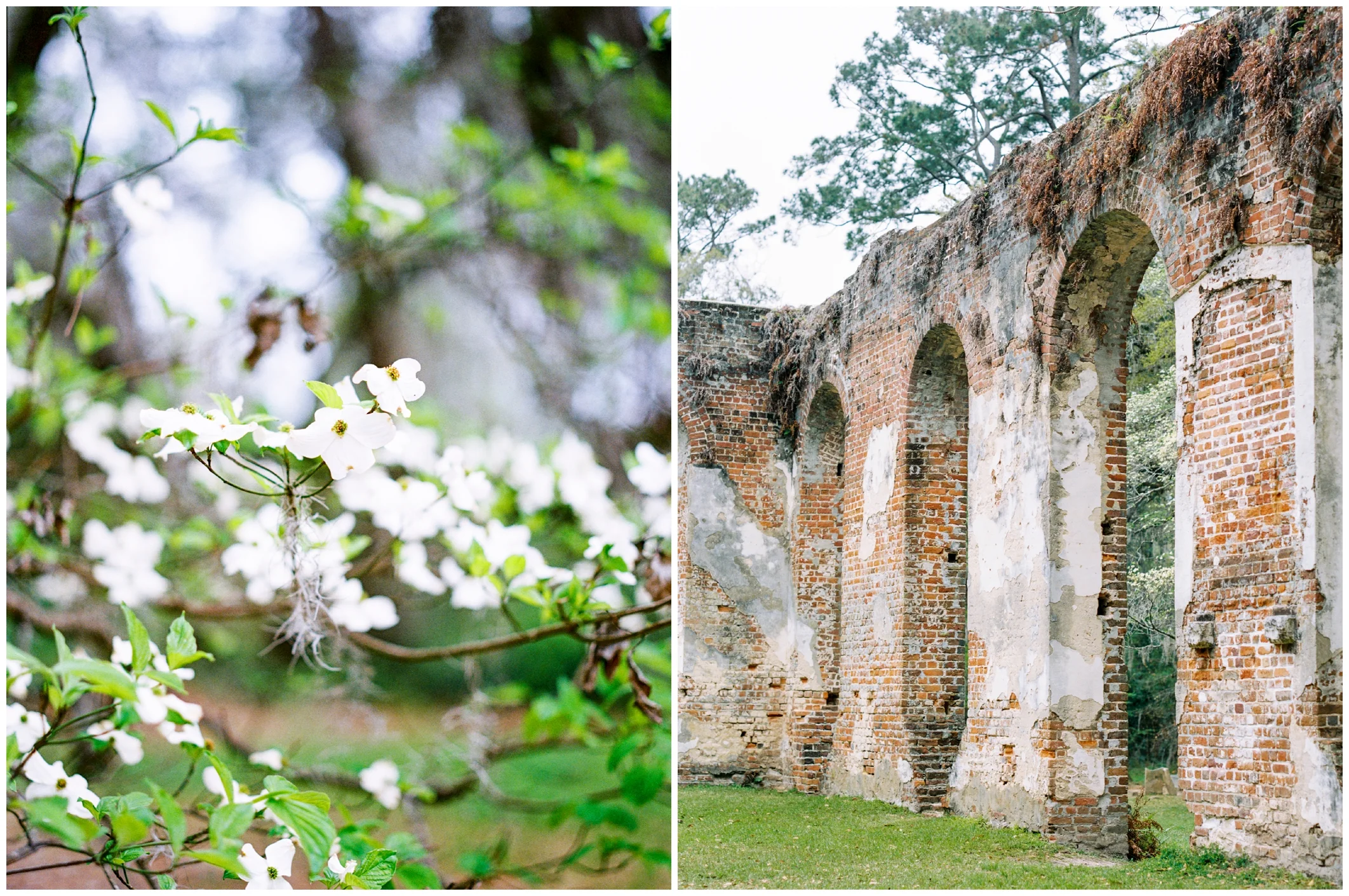 Old Sheldon Church Ruins | South Carolina