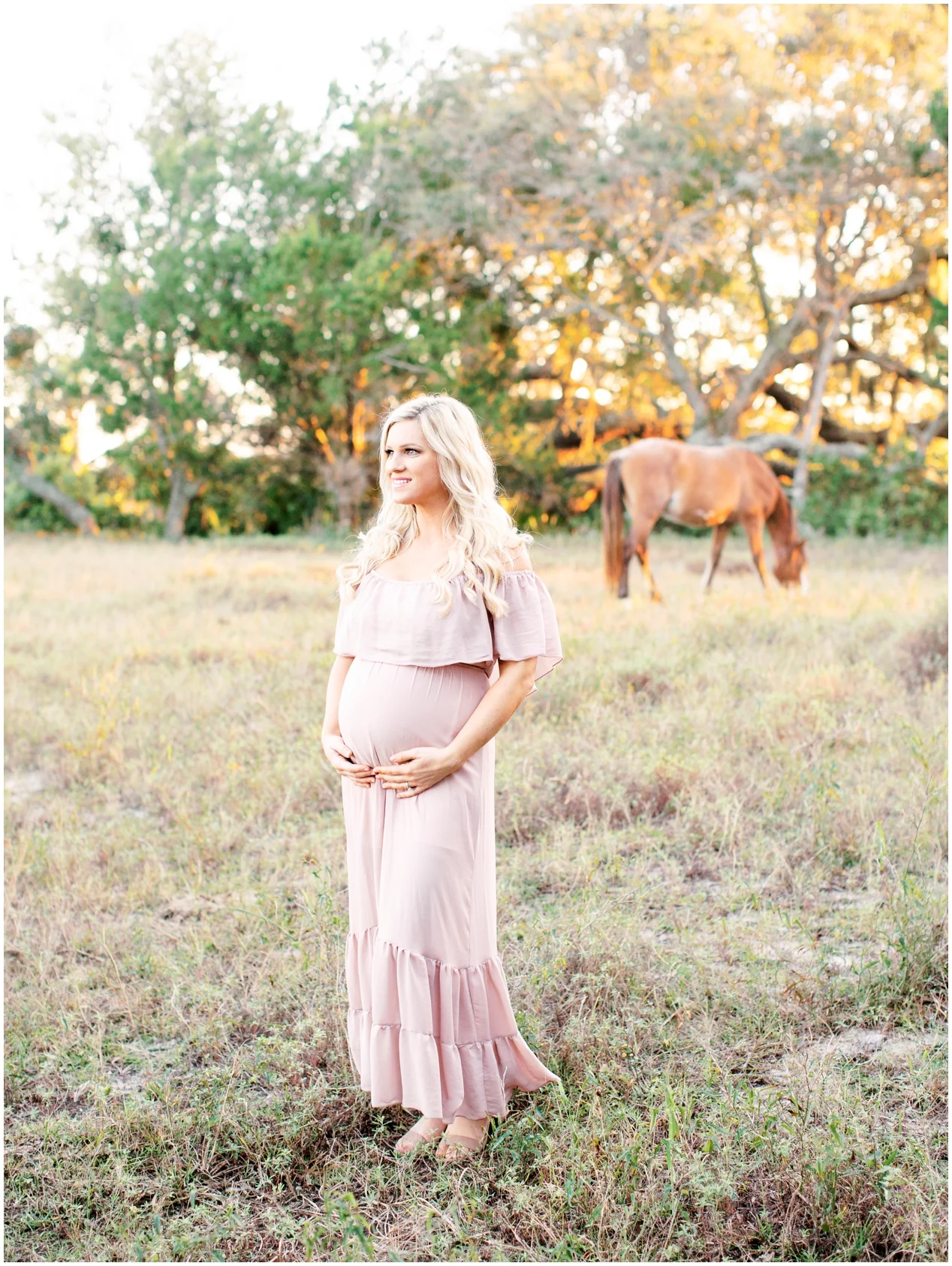 Lisa Silva Photography -Maternity Session at Cumberland Island, Georgia - Jacksonville and North East Florida Fine Art Film Photographer_0034.jpg