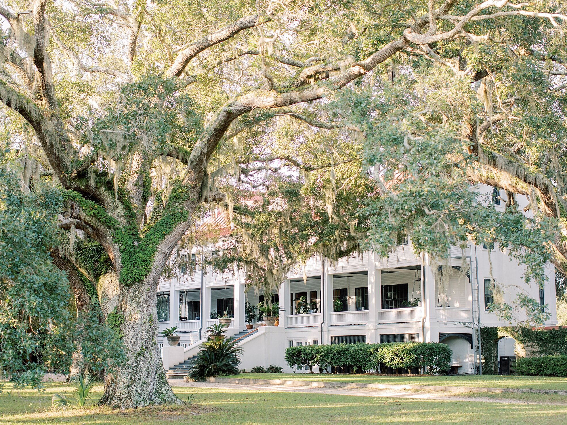 Lisa Silva Photography- Jacksonville and Ponte Vedra Beach Fine Art Film Wedding Photography- Engagement Session at the Greyfield Inn and Cumberland Island, Georgia_0008.jpg