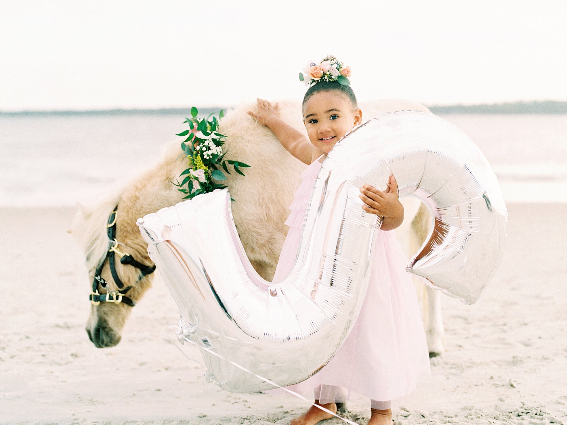 Lisa Silva Photography- Jacksonville, St. Augustine, Ponte Vedra Beach, Amelia Island, Florida Film Fine art lifestyle photographer unicorn shoot_0003.jpg