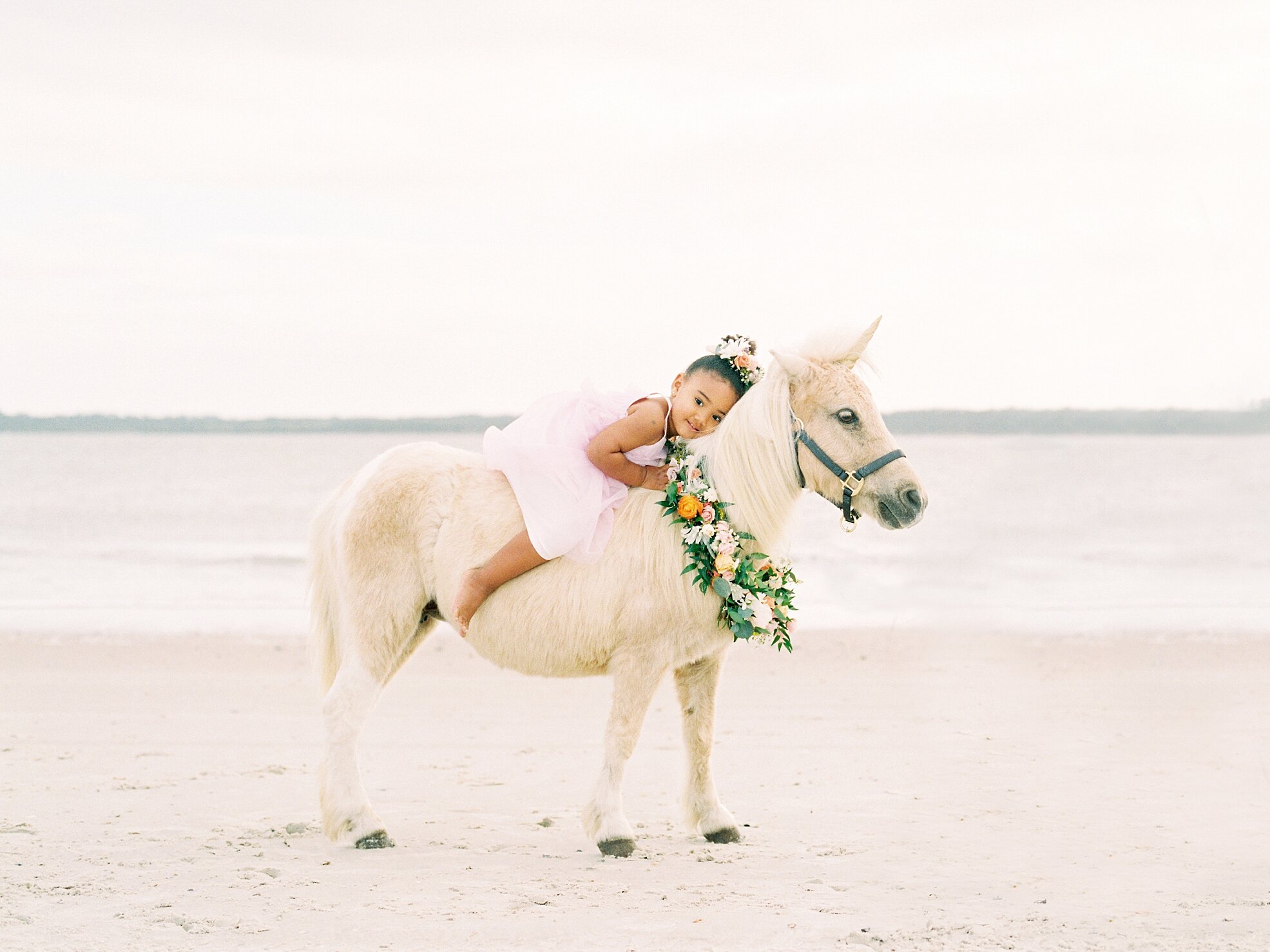 Lisa Silva Photography- Jacksonville, St. Augustine, Ponte Vedra Beach, Amelia Island, Florida Film Fine art lifestyle photographer unicorn shoot_0009.jpg