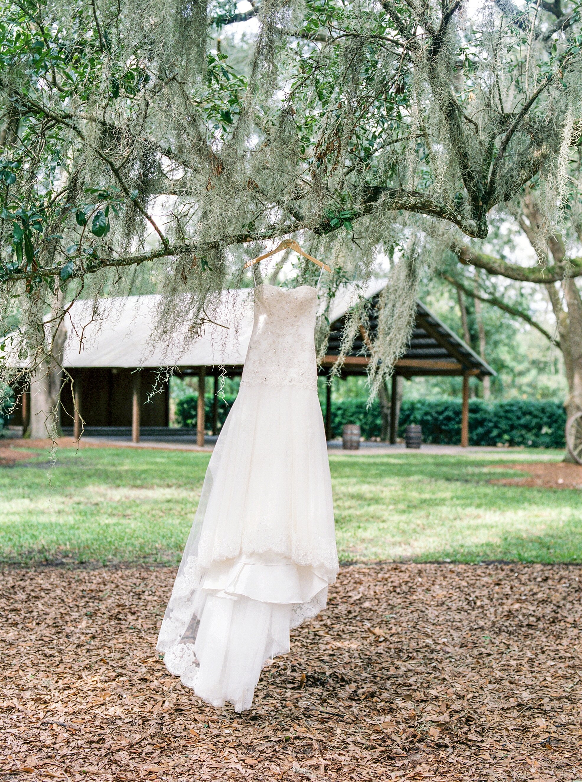 Lisa Silva Photography- Jacksonville, St. Augustine, Ponte Vedra Beach, Amelia Island, Florida Fine Art Film Wedding Photography- Wedding at Bowing Oaks Plantation_0008.jpg