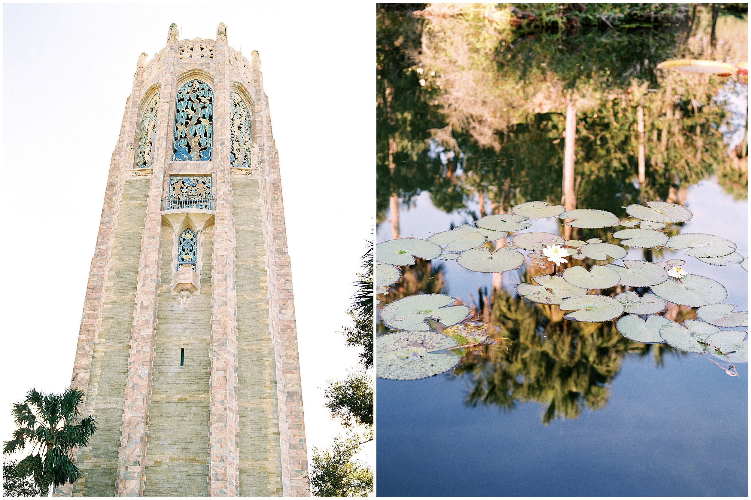 Lisa Silva Photography Jacksonville St Augustine Amelia Island Ponte Vedra Beach Fine Art Film Wedding Photographer-Bok Tower Gardens Bridal Editorial_0001.jpg