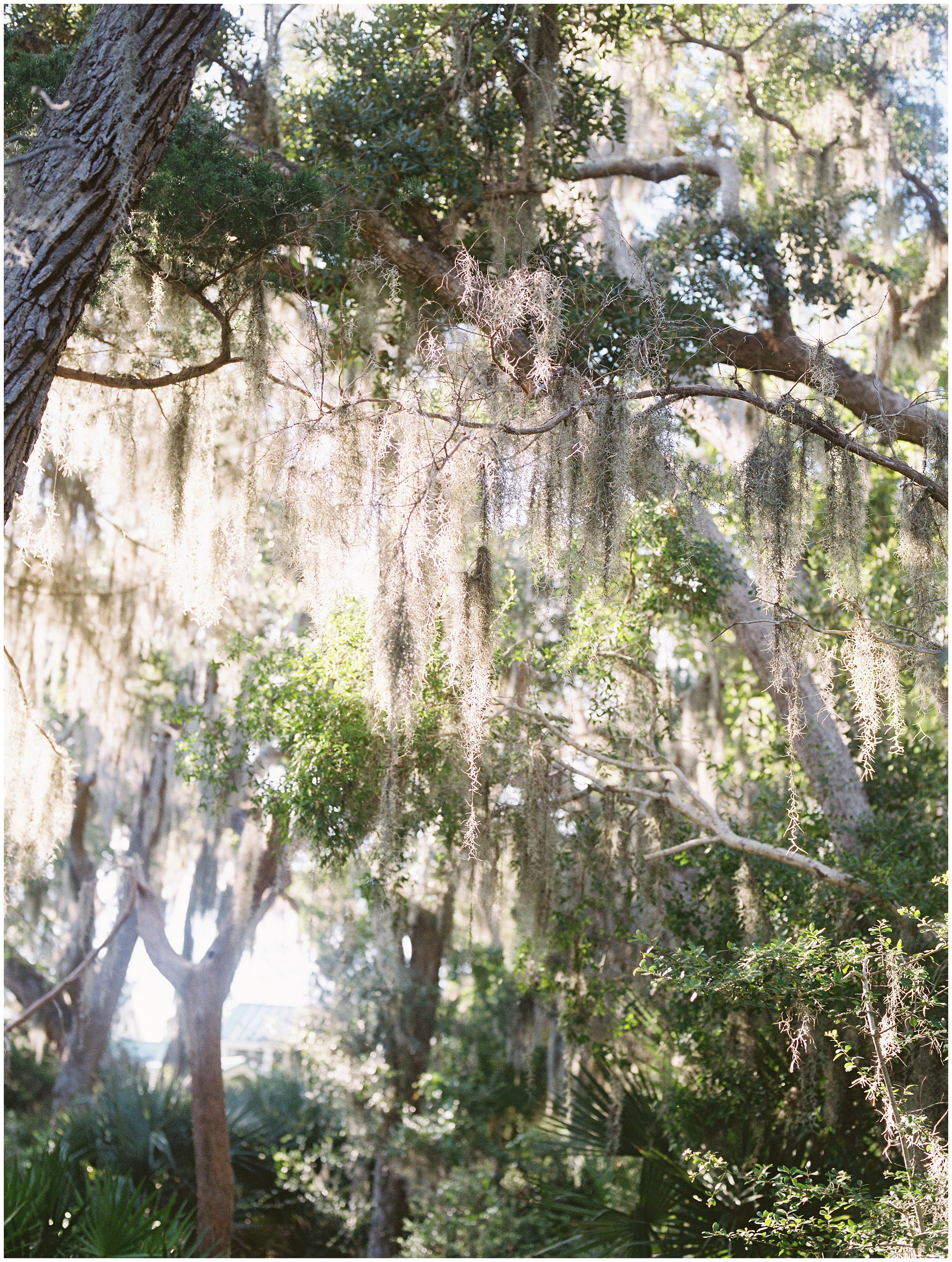 Lisa Silva Photography Jacksonville St Augustine Amelia Island Ponte Vedra Beach Fine Art Film Wedding Photographer- Amelia Island Omni Plantation Walkers Landing Wedding Photographer_0072.jpg