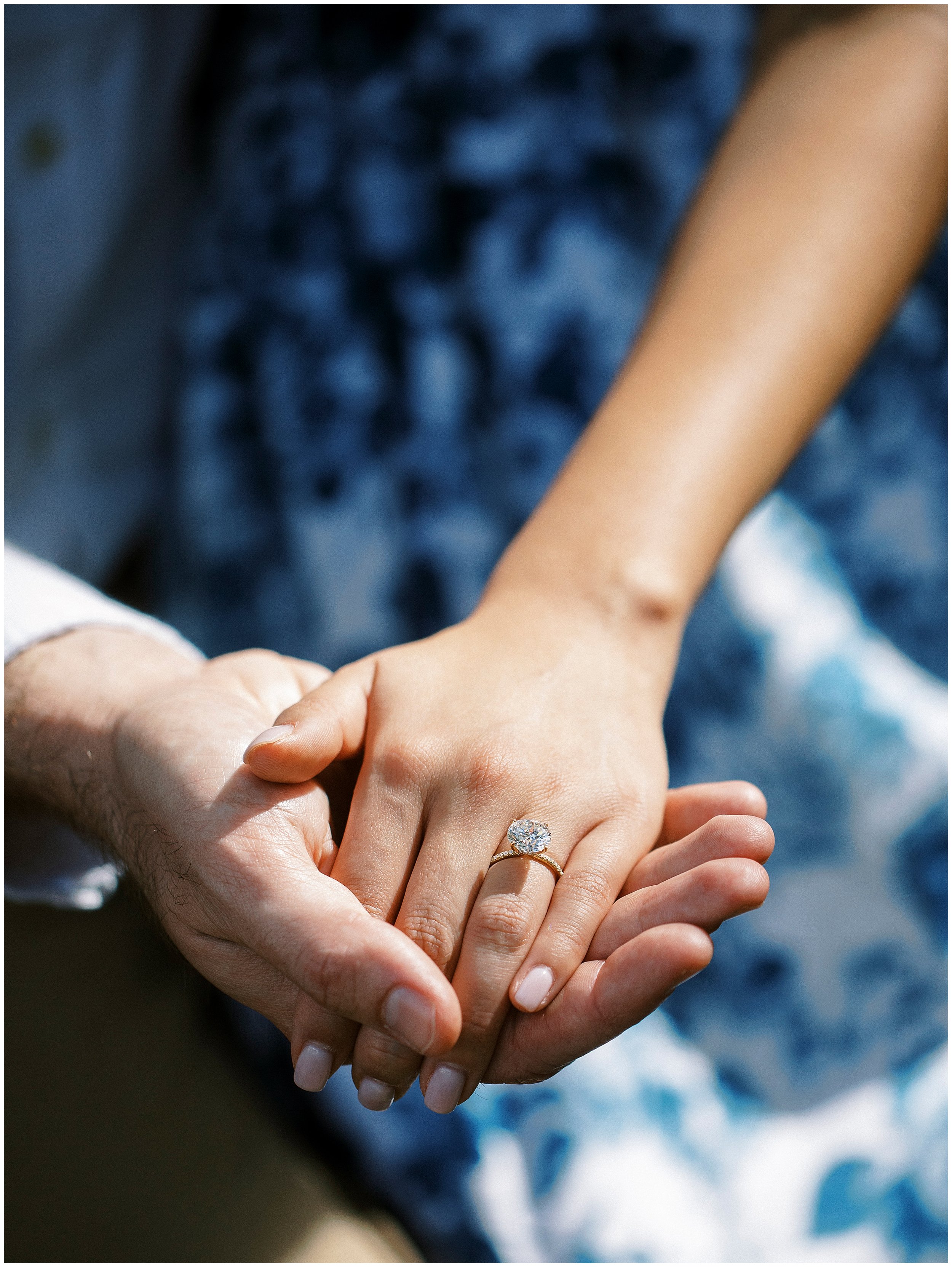 Lisa Silva Photography Jacksonville St Augustine Amelia Island Ponte Vedra Beach Fine Art Film Wedding Photographer-  Proposal Photographer Cummer Museum_0022.jpg