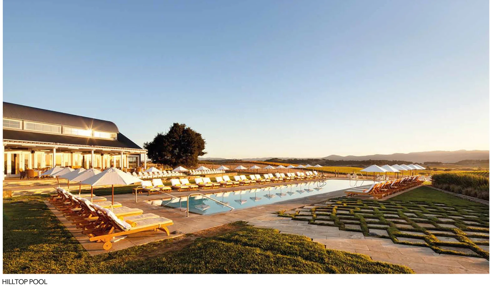 CARNEROS 2.jpg