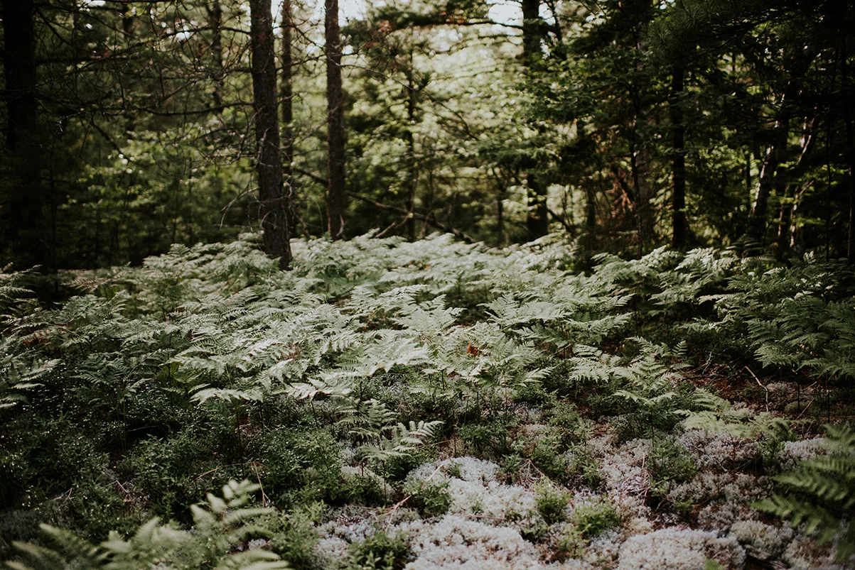 DSC_8936.jpg