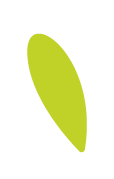 igs-rheingauviertel-blatt-hellgruen.png
