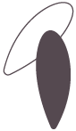 igs-rheingauviertel-blaetter-sw-02-01.png
