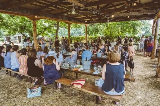 Les Dames Spring 2019 meeting.jpeg