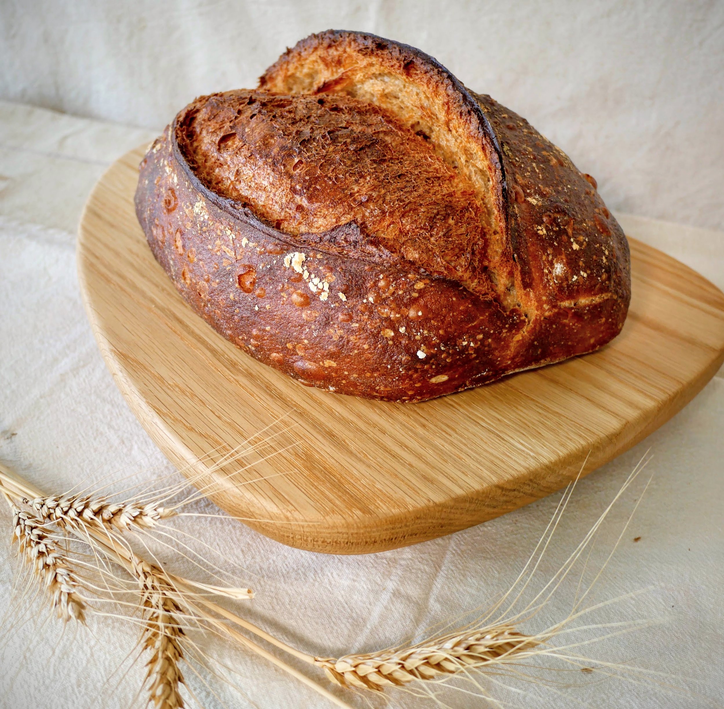 Abby Jane Bakeshop