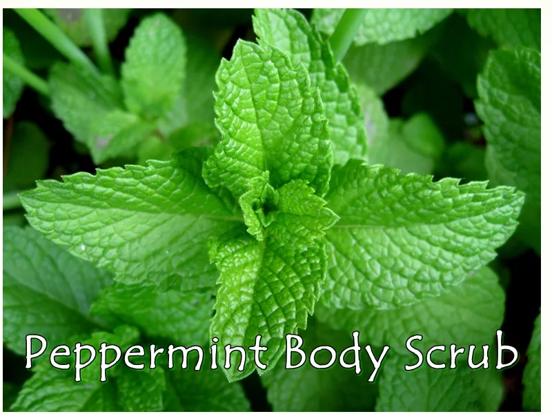 Peppermint Scrub