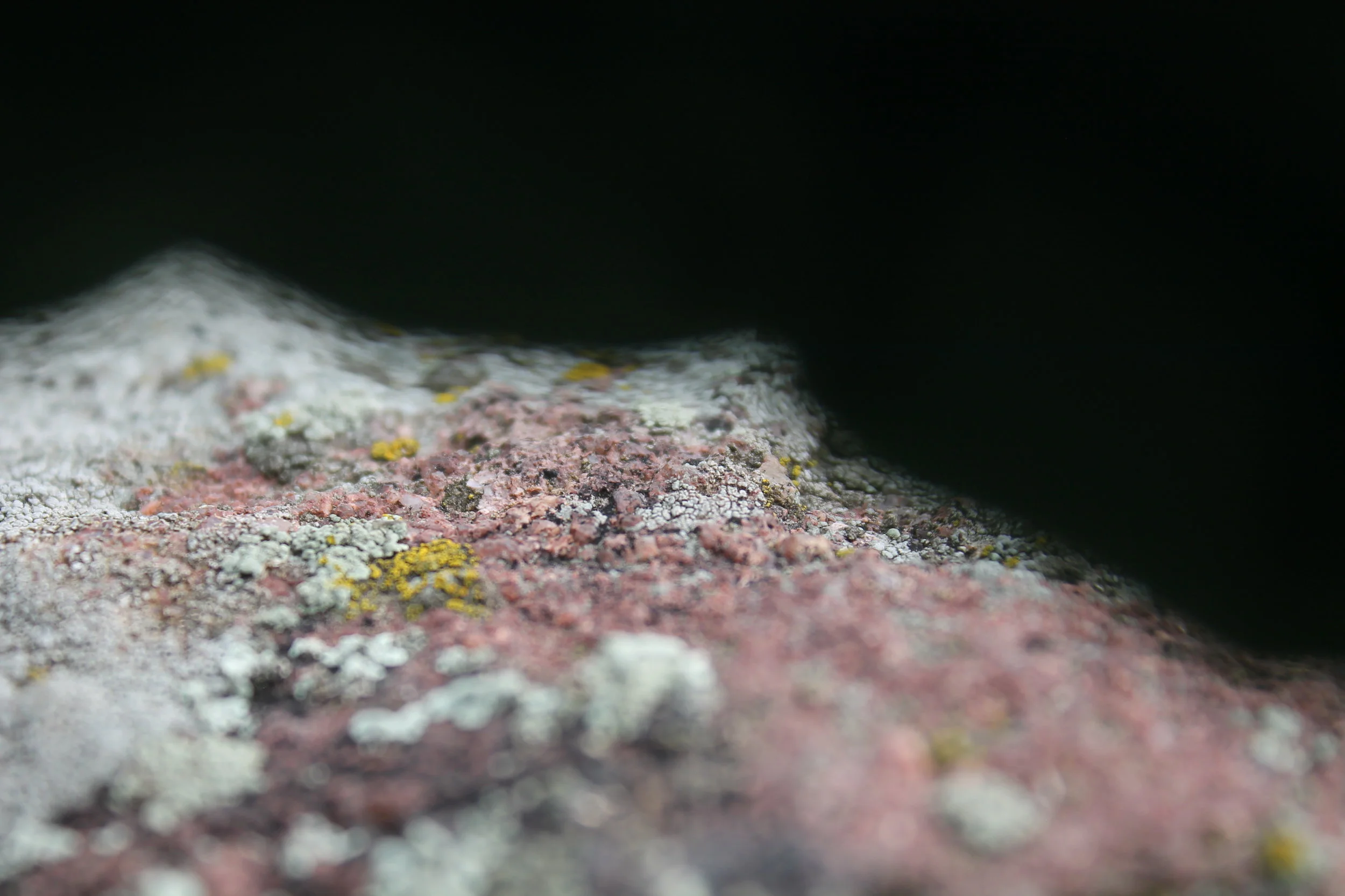    realms   ,  2017-present photographs. 