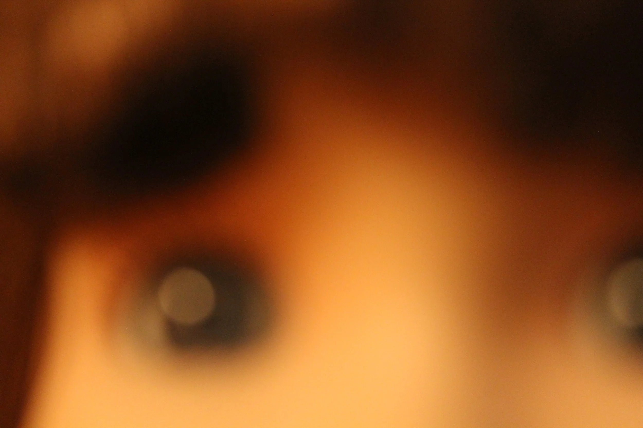    girl ,  2015 photographs. 