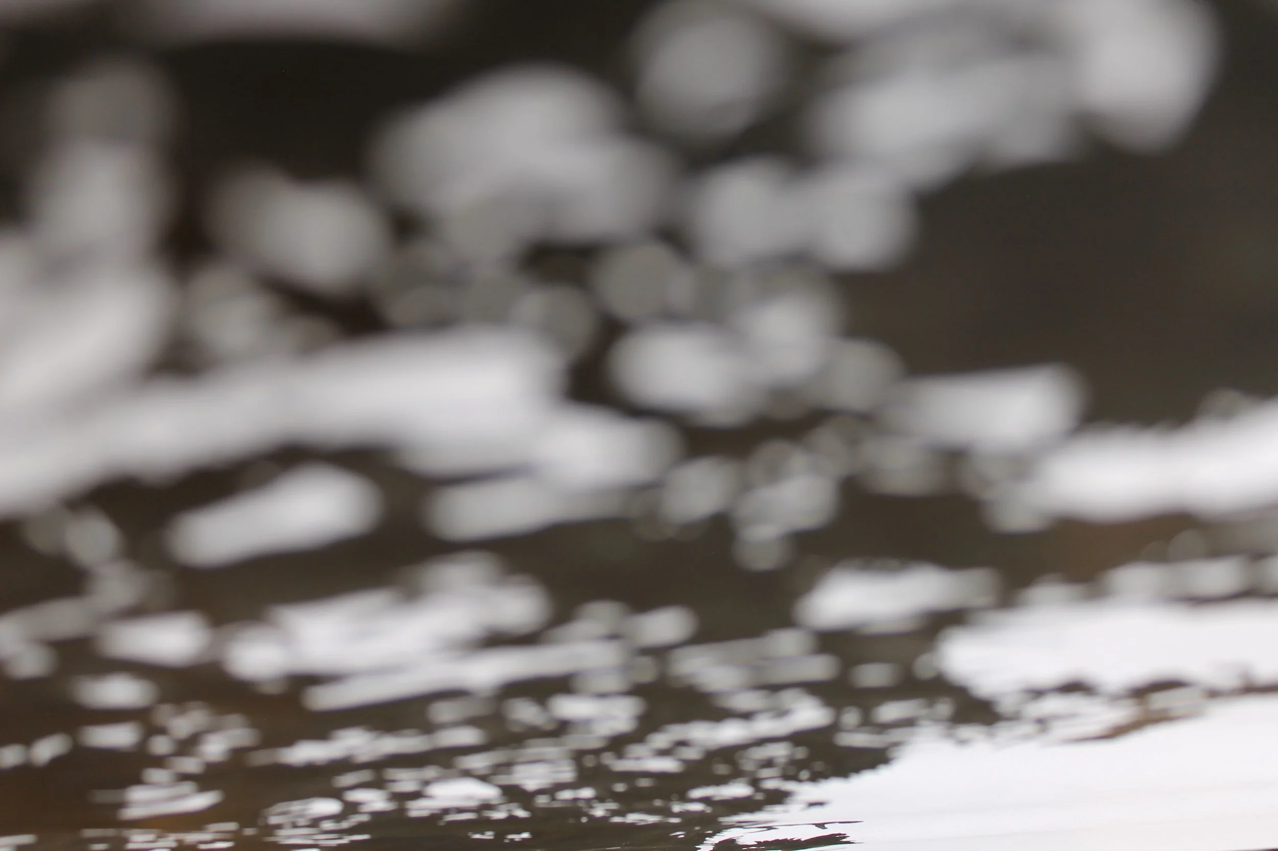    shadows , 2017-present  ink paintings. acrylic paintings. photographs. 