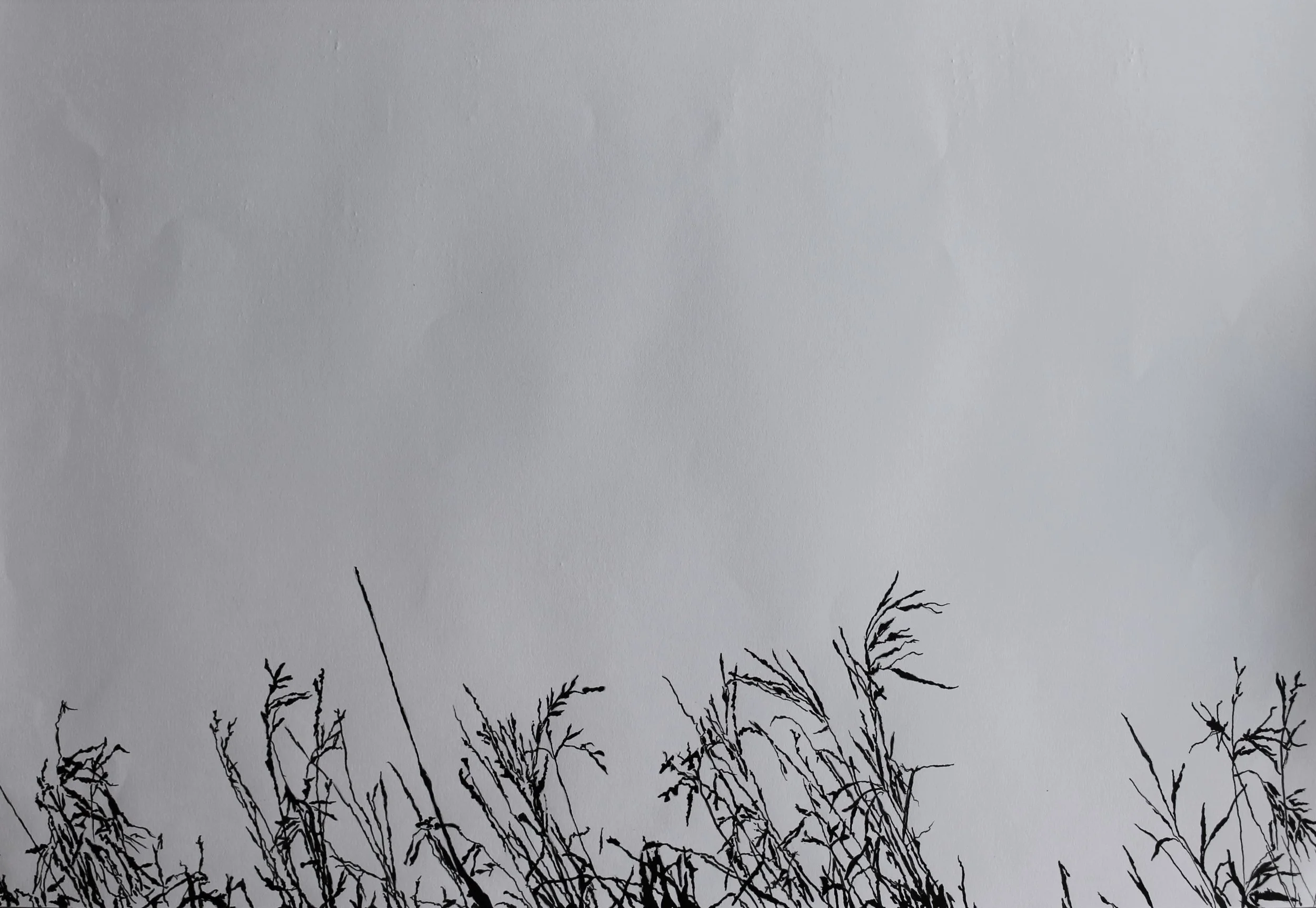 IMG_0549 cropped adjusted.jpg