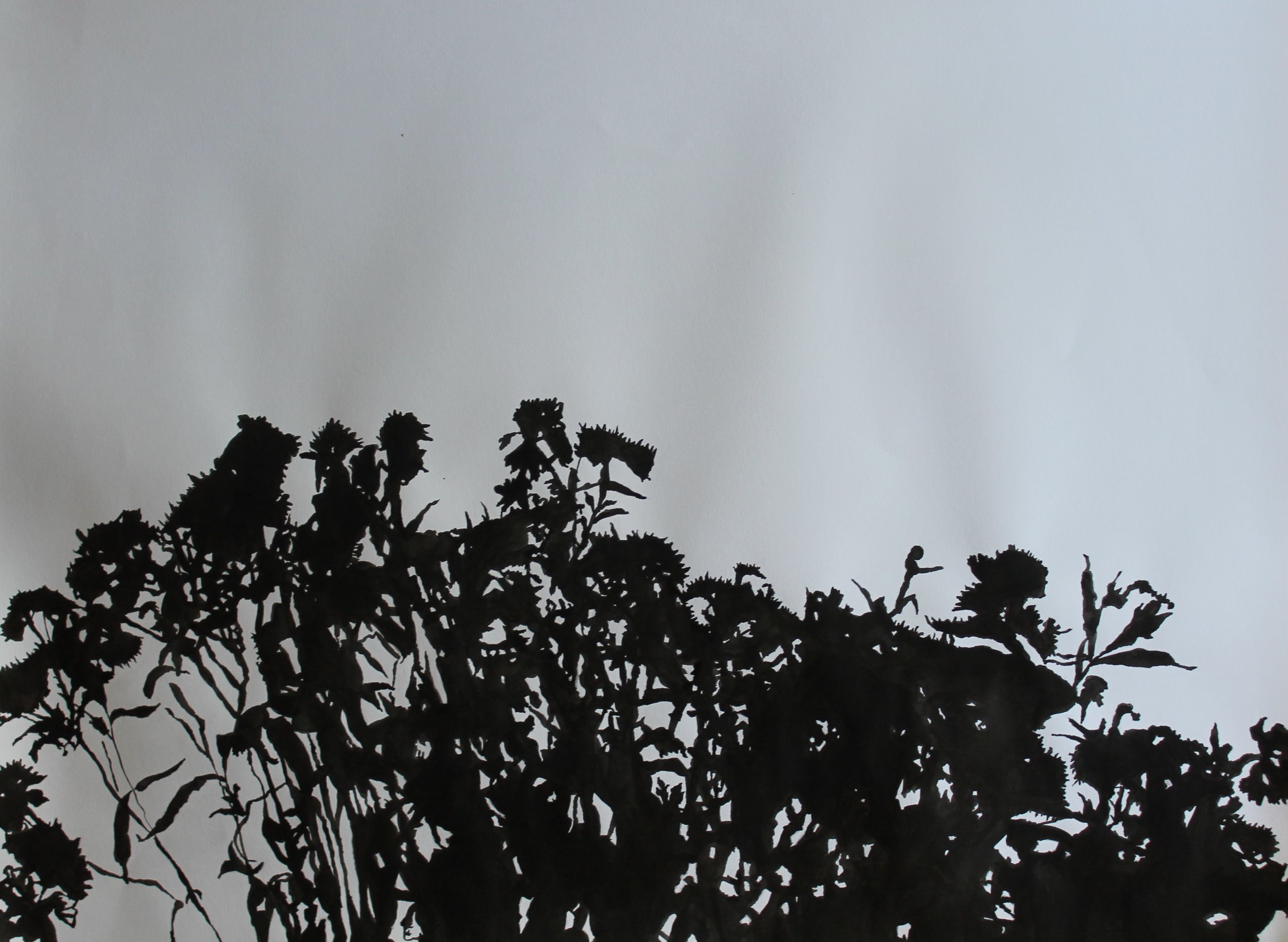 IMG_9903 cropped.jpg