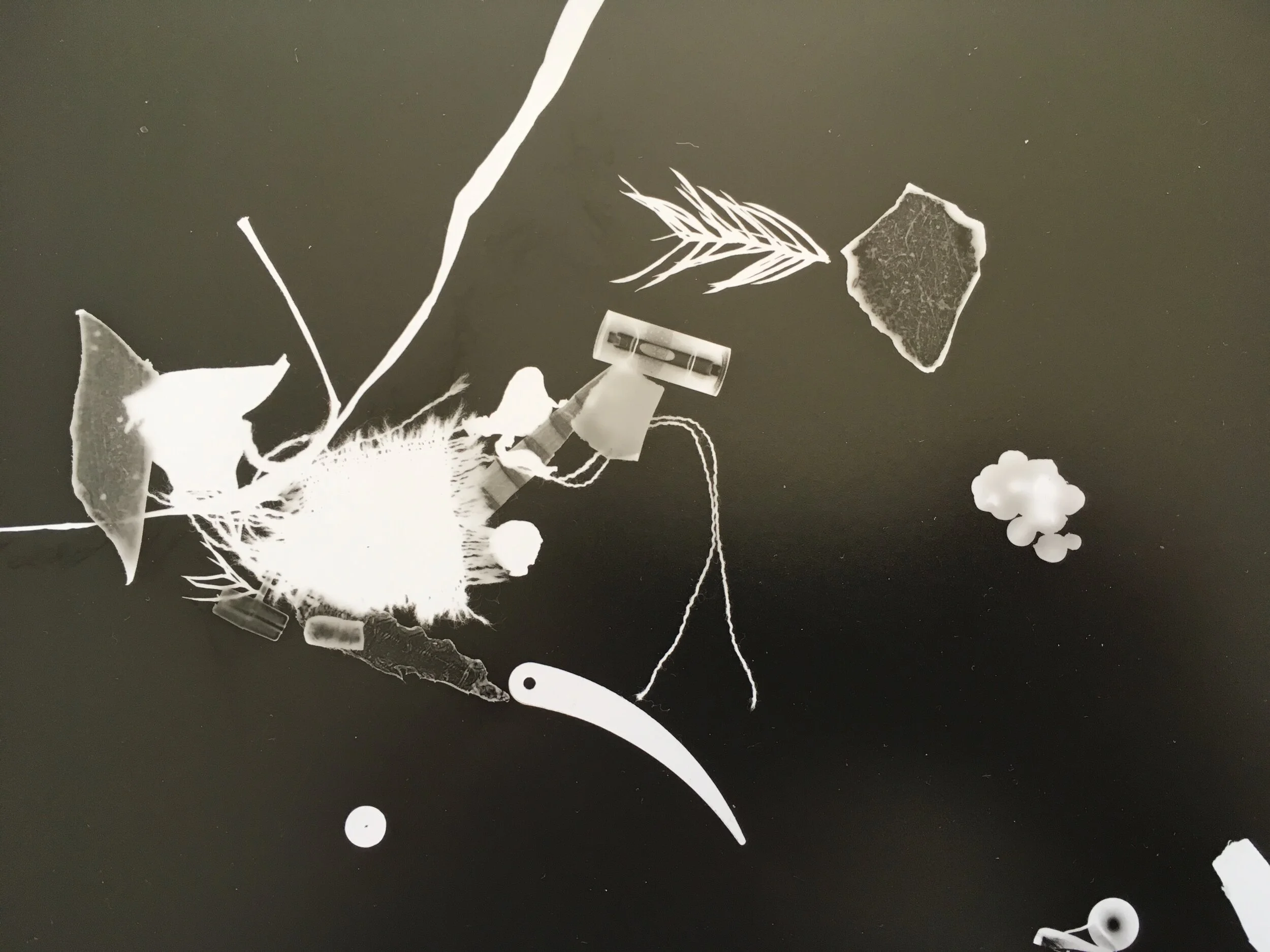 photogram 9.jpg