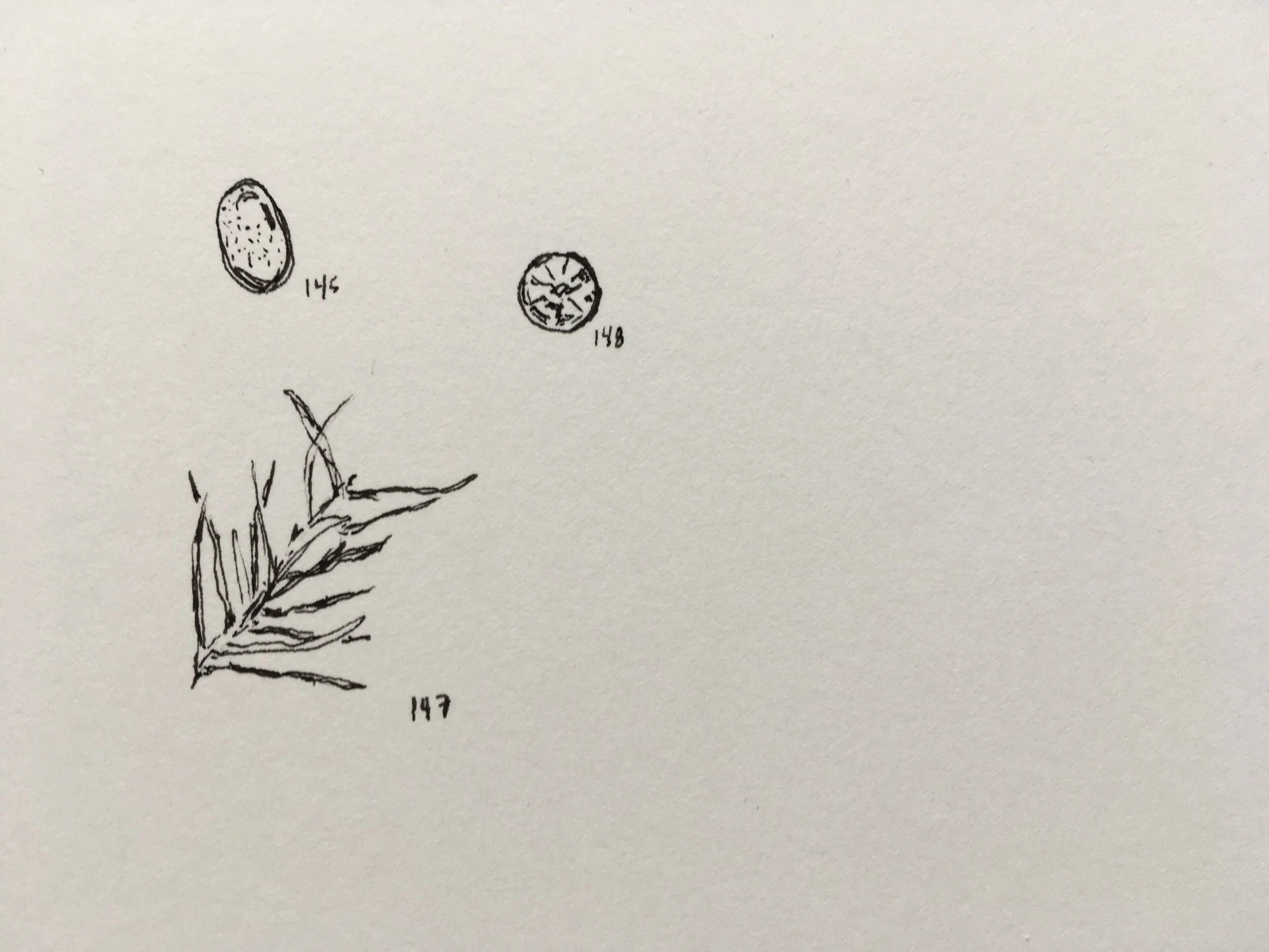 remnant drawing 9 detail 2.jpg