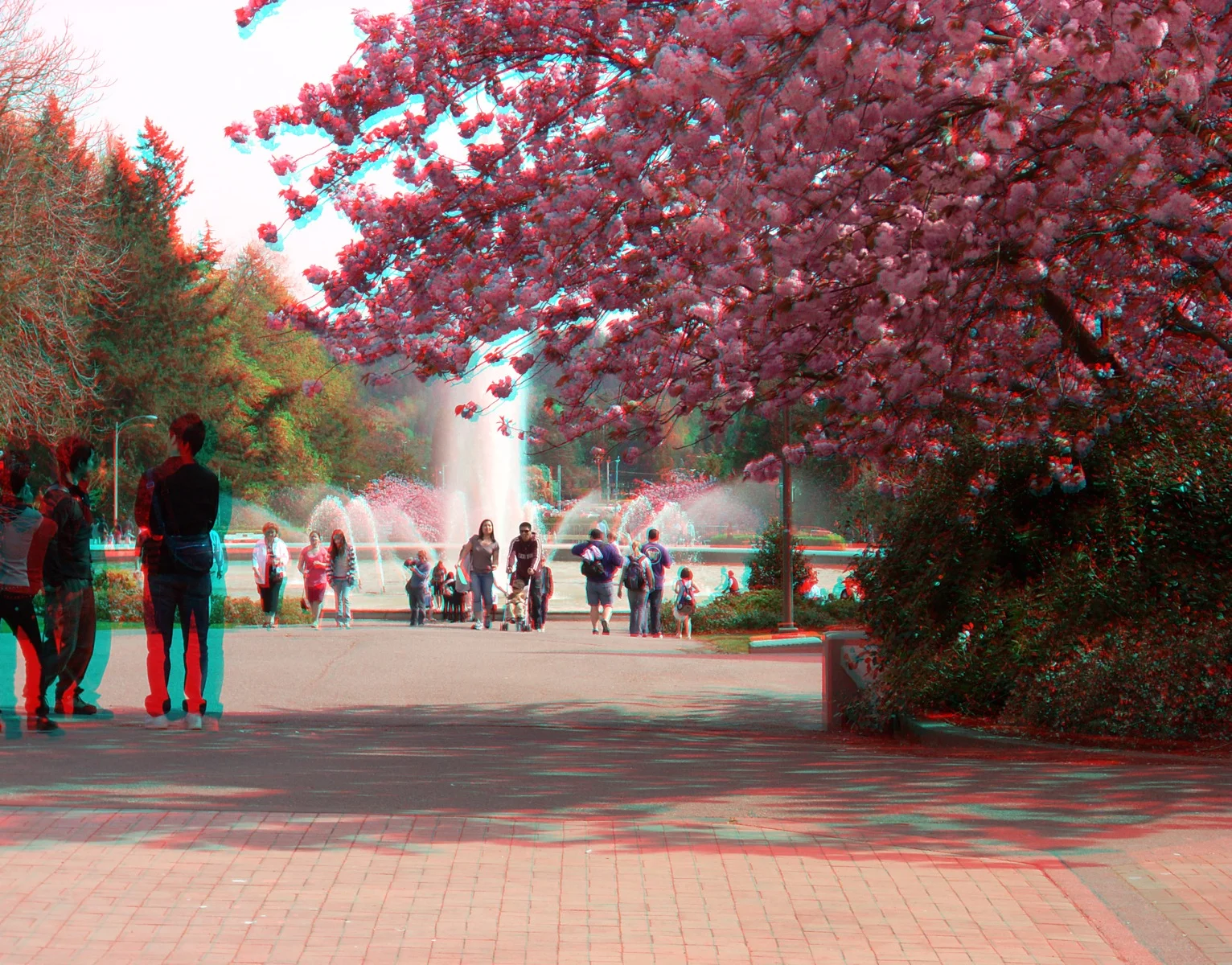 the-fountain_2781099429_o.jpg