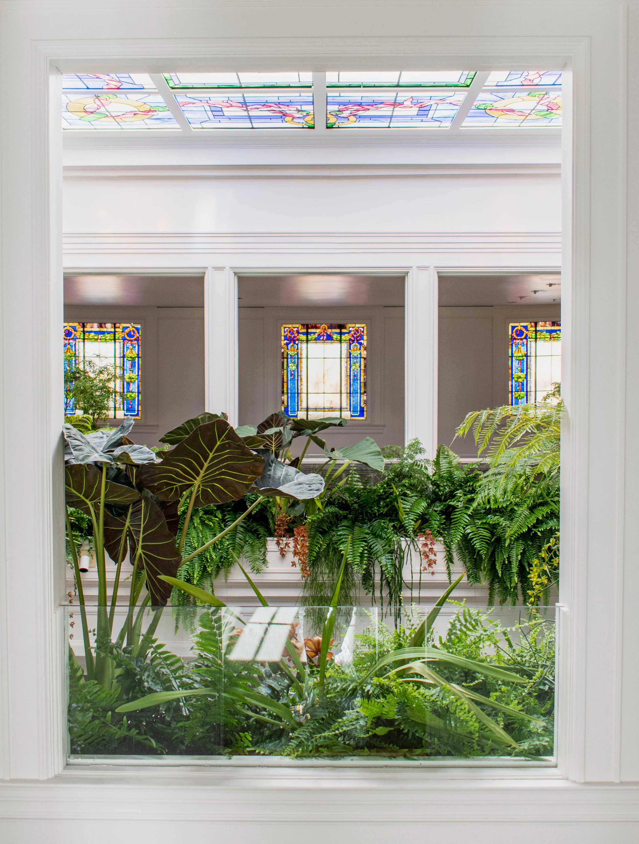 MMG_6522-2.jpg