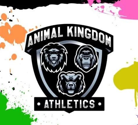Animal Kingdom Boxing