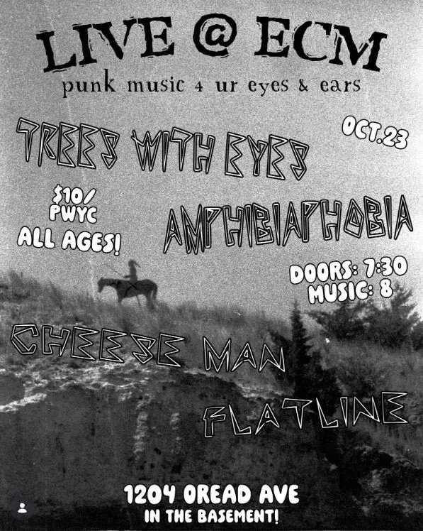 Basement Punk Show 