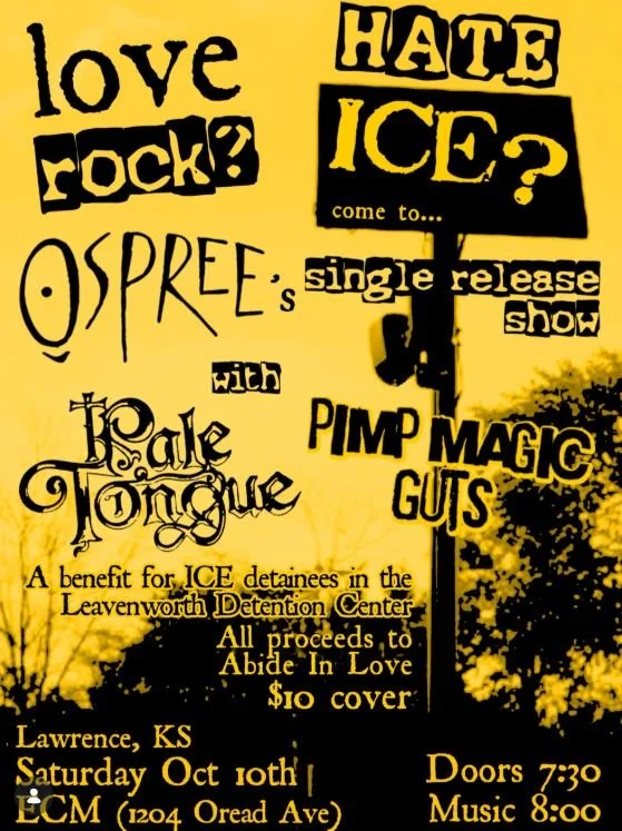 Benefit Punk Show