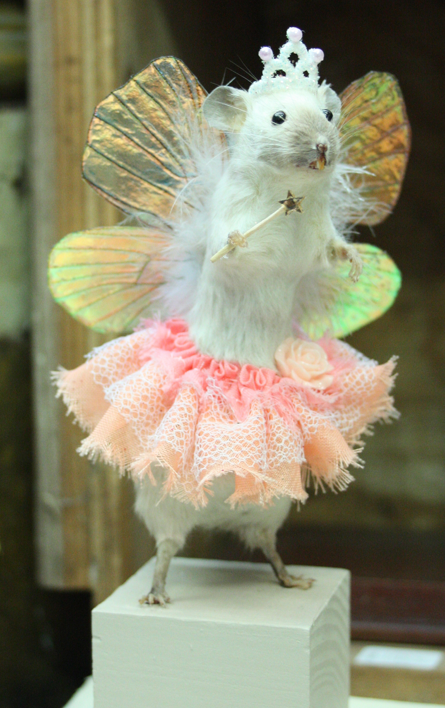Ballet mouse.jpg