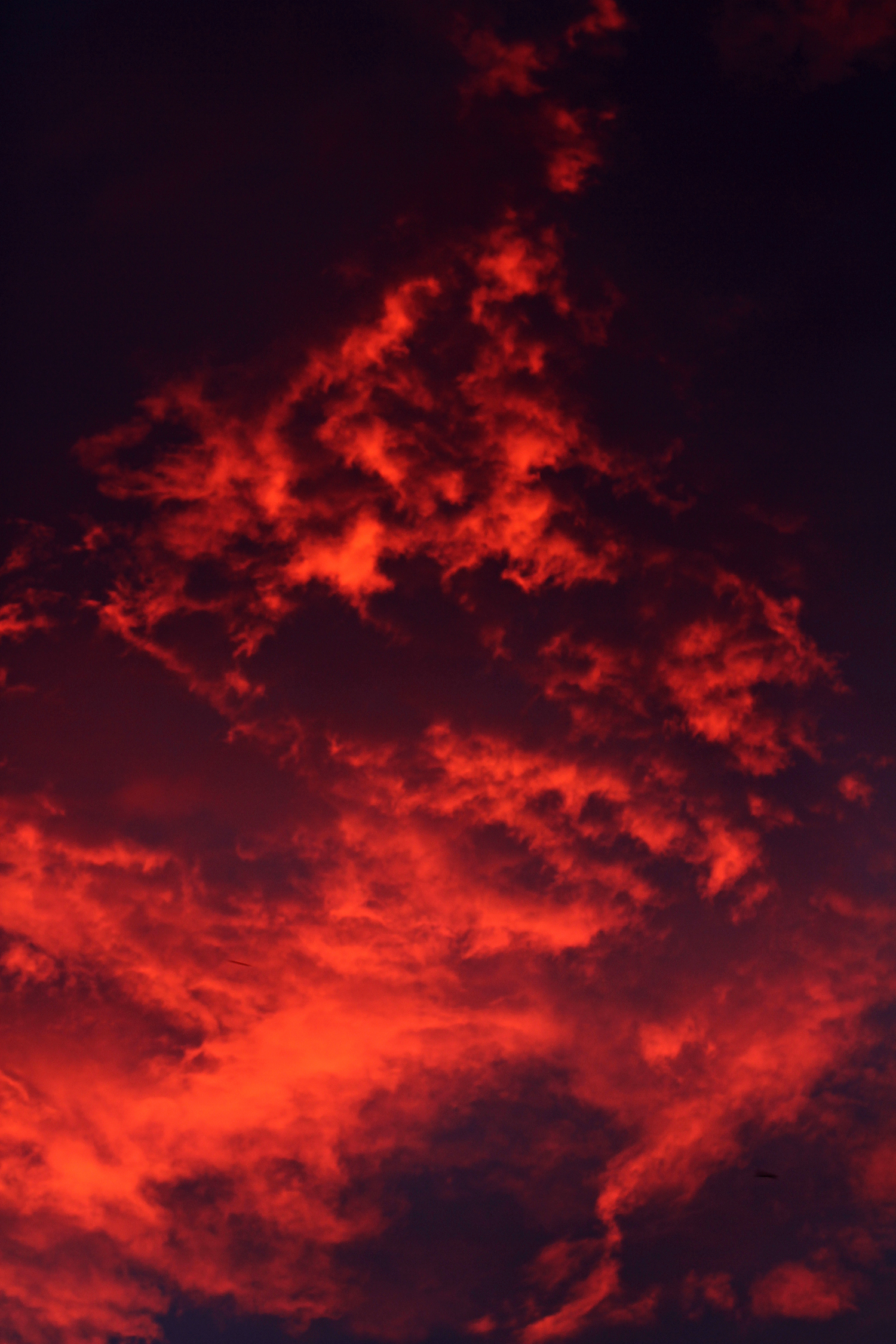 red skymedium.jpg