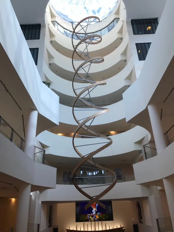 The enormous sculpture of DNA found in the main building of Universita Vita-Salute San Raffaele, the medical school associated with San Raffaele Hospital and the primary meeting place throughout Kasey's shadowing experience. 