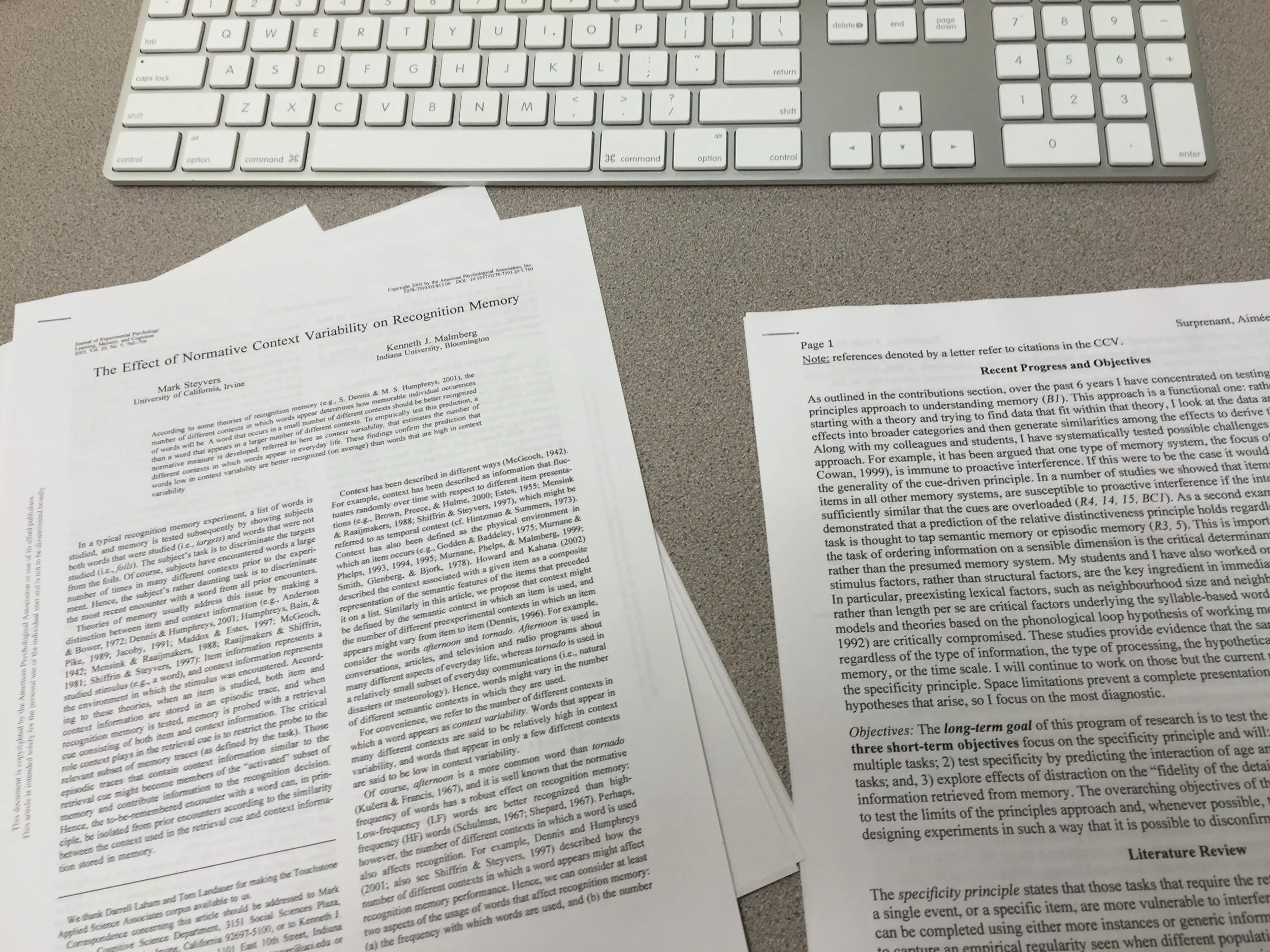 Journal articles from Lauren's research at the Memorial Cognition Lab
