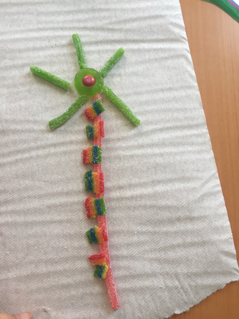 Candy Neuron Photo.jpg