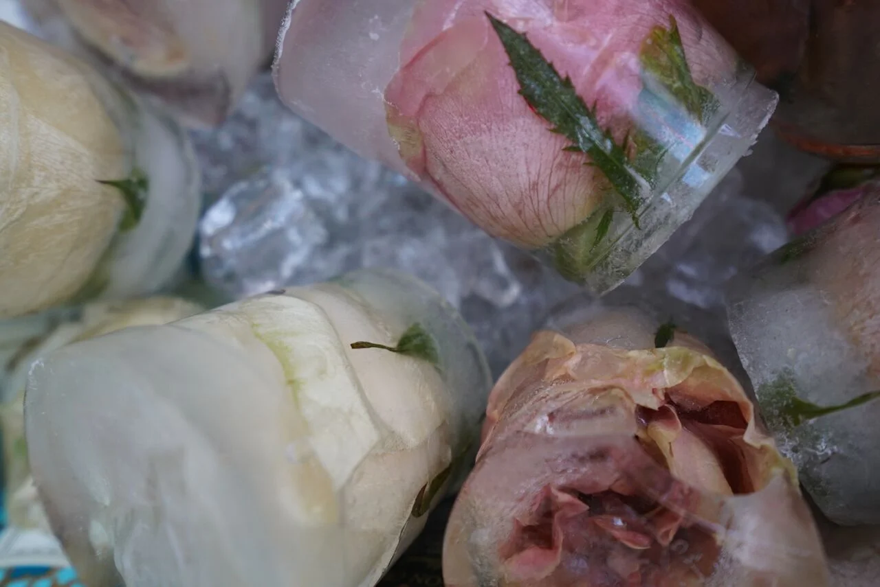 Rose Ice Cubes in Rosé