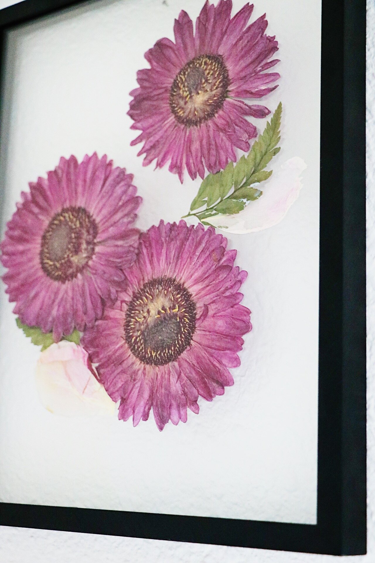 Easy Pressed Flowers Art — DIY DARLING