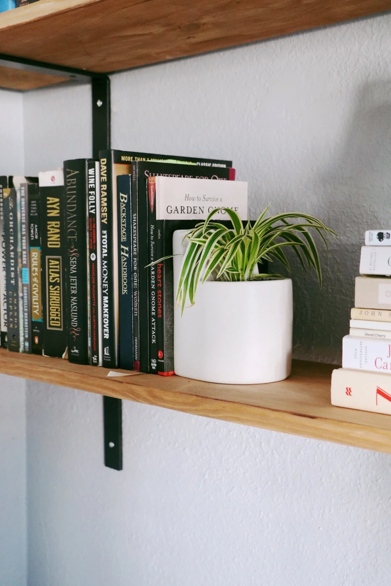 Books and plants styled on a wood shelf in a home office