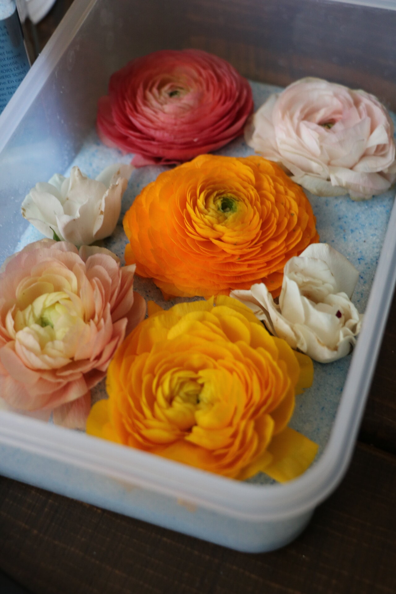 How to Preserve Flowers & Wedding Bouquet: 8 Methods