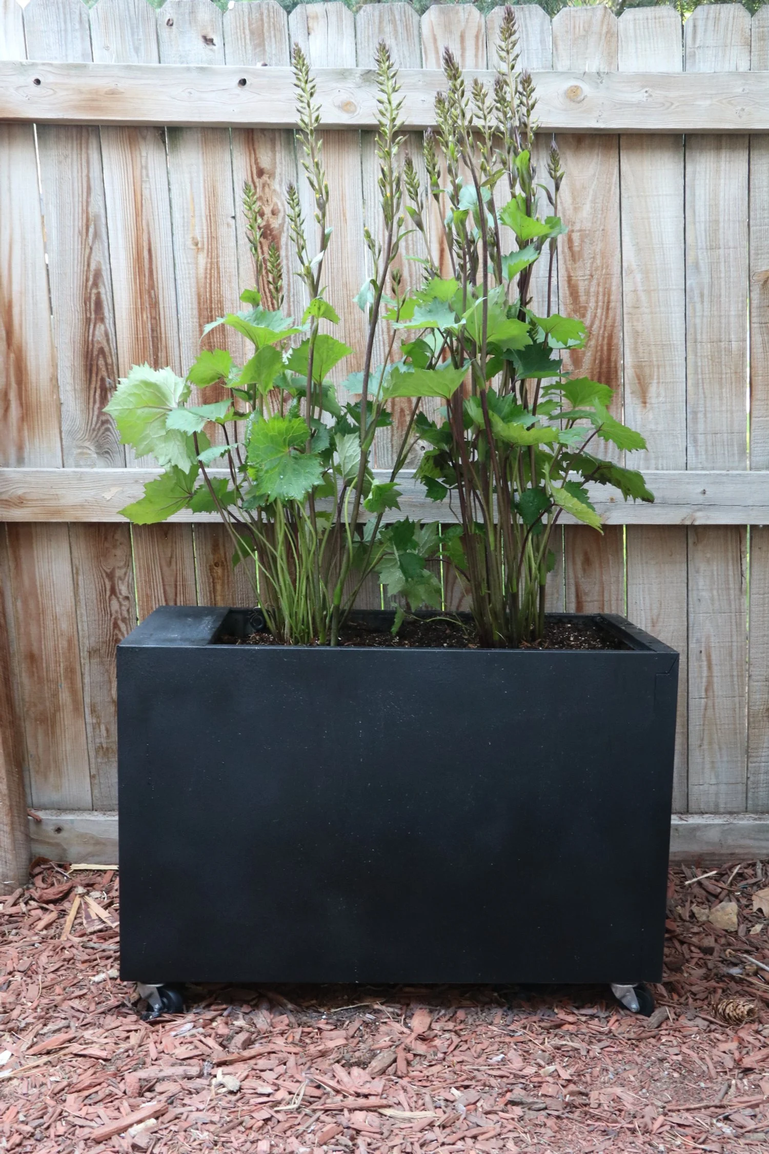 Planter Box Filing Cabinet FLIP