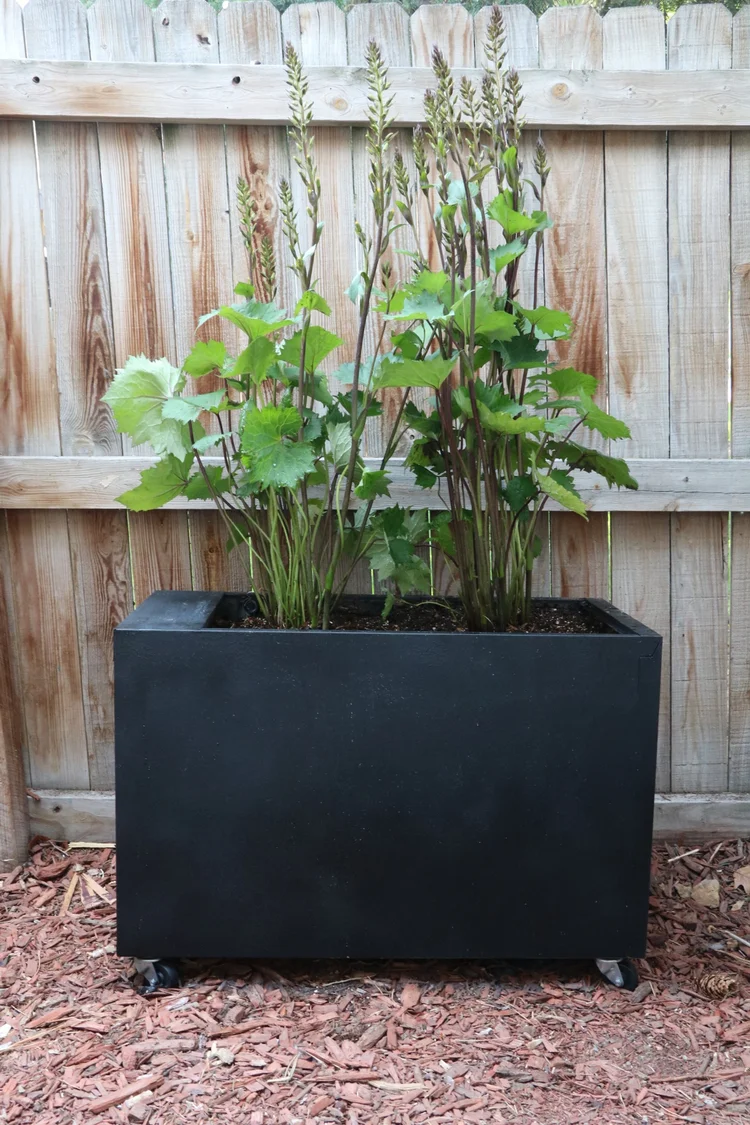 How to Make a Herb Garden Planter Box: DIY Guide