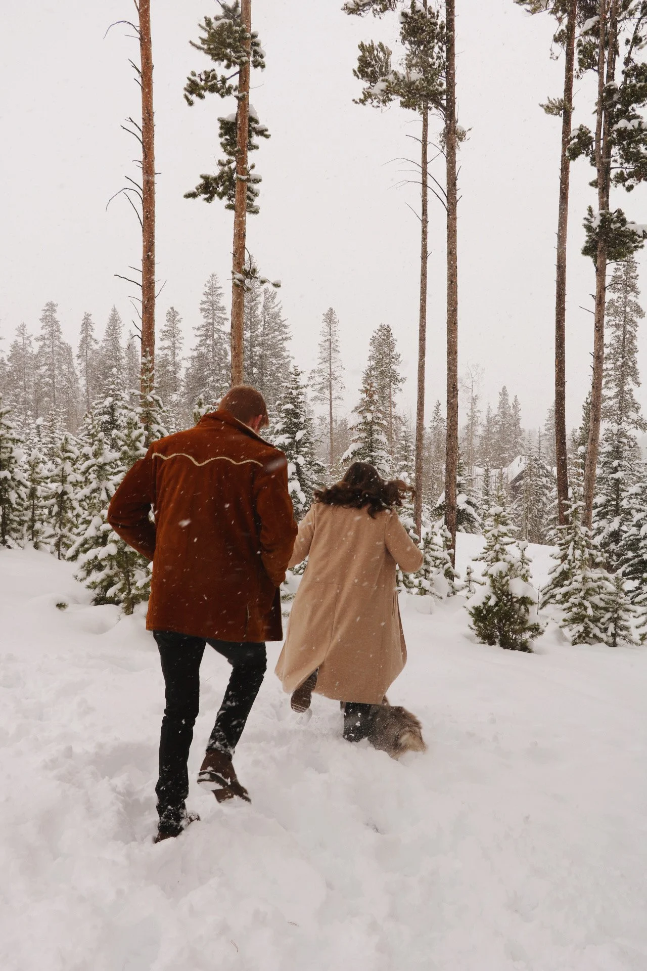 Best Things to Do in Colorado in February
